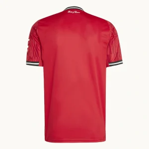 Manchester United Home Kit 25/26, Back view blank football jersey